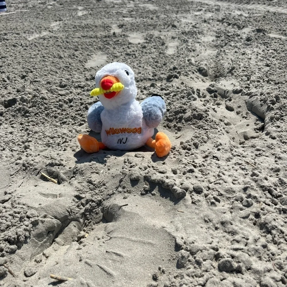Seagull Plush Toy Wildwood NJ New Fry in his